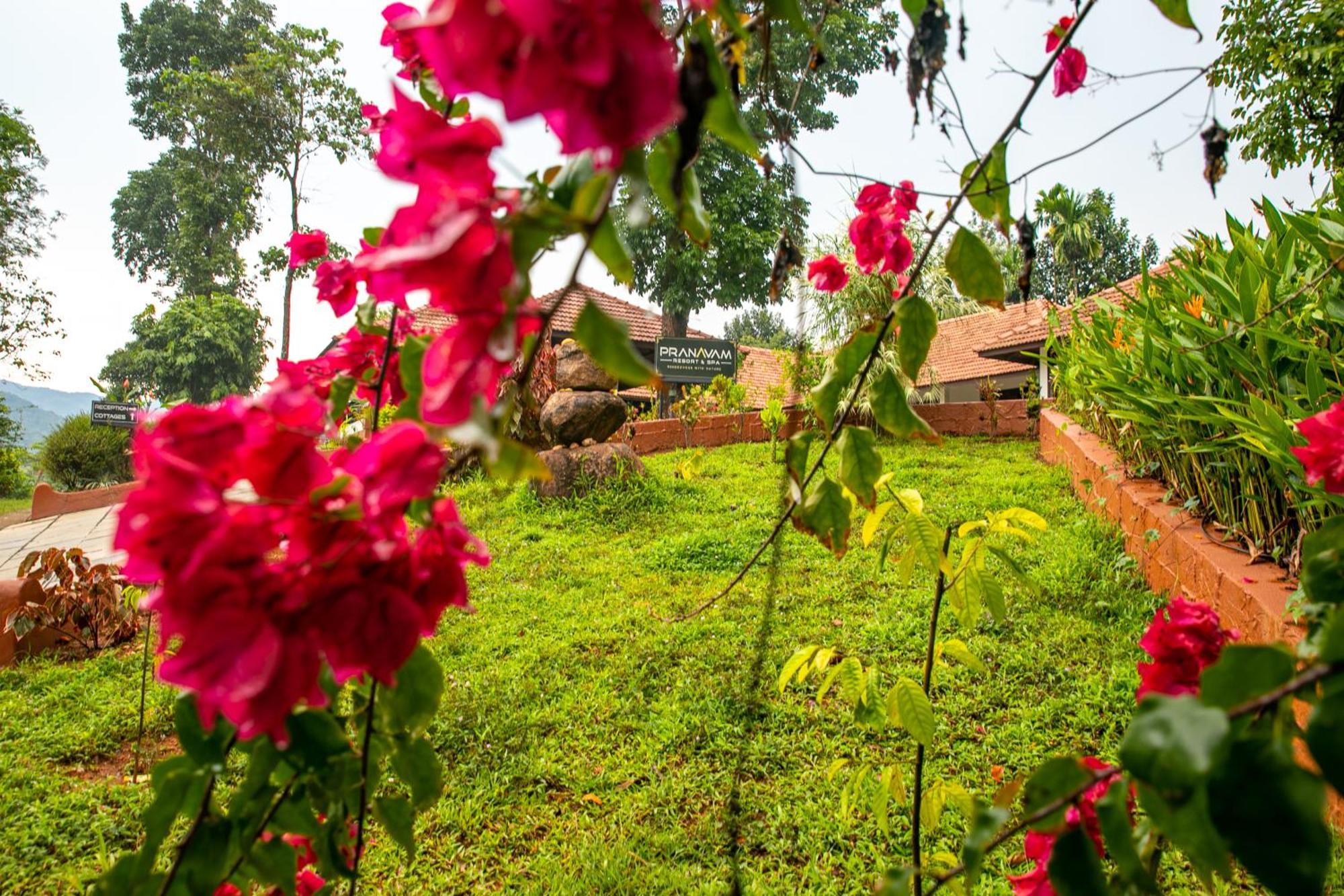 Pranavam Resort & Spa Tariyod ภายนอก รูปภาพ