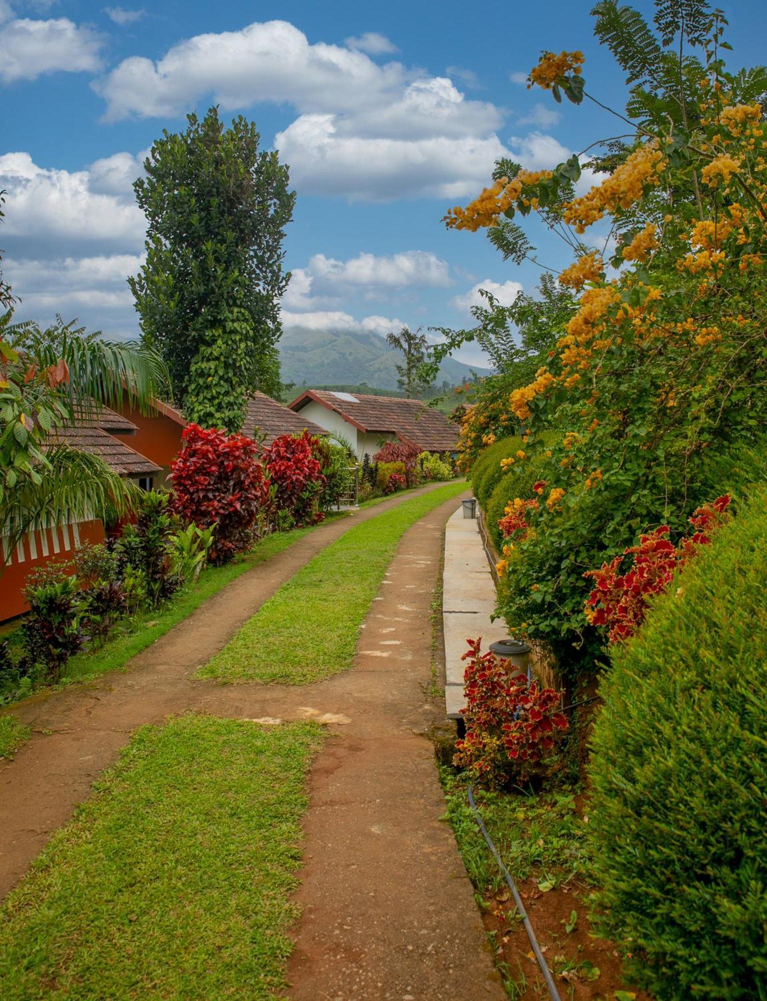 Pranavam Resort & Spa Tariyod ภายนอก รูปภาพ